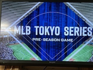 メジャー25031501.jpg