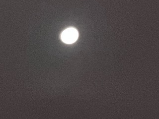 25040402.jpg