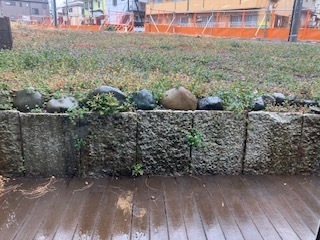 J25020201.jpg