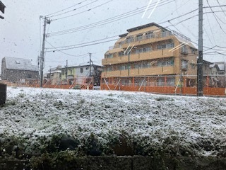 25031902.jpg